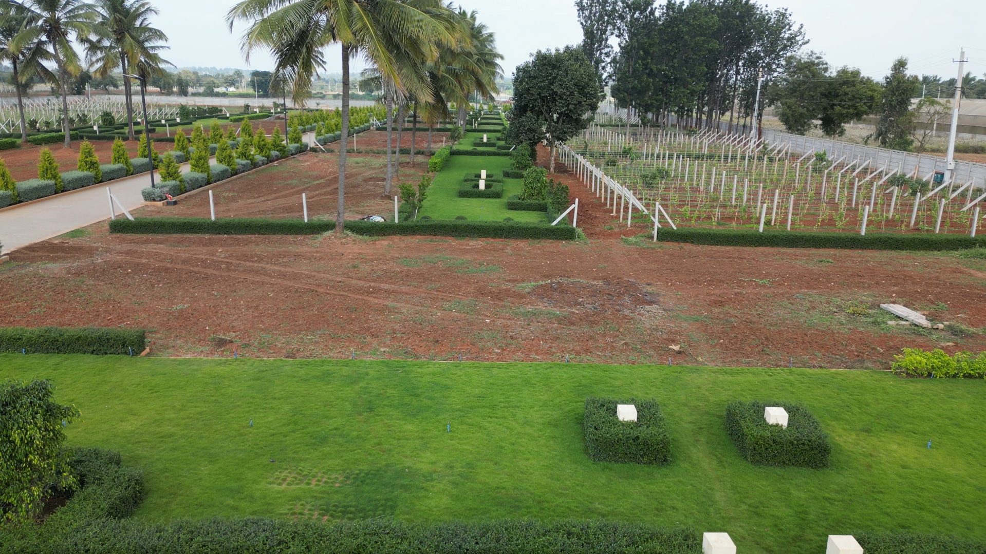 Wine Tasting Experience